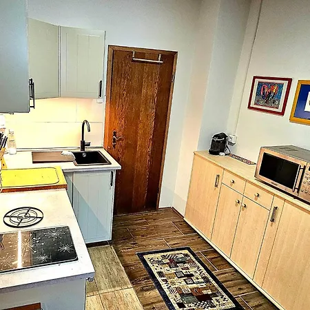 Wyss Apartment Wolfach